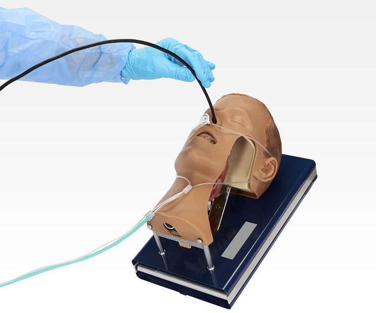 iWay - interoperability during fiberoptic procedures